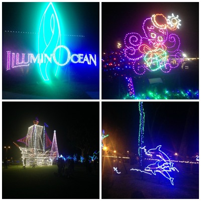 illuminocean