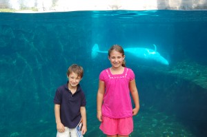 Mystic Aquarium