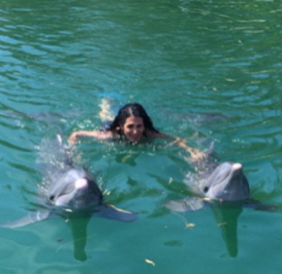 Swimming with Dolphins