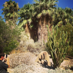 living desert and zoo