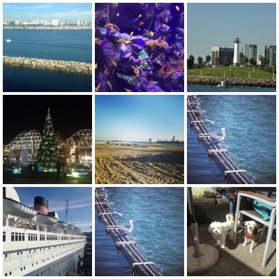 PicMonkeyLongBeach